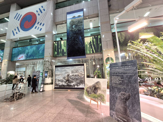 부천시청 로비에 전시된 시크릿 독도 전시전 모습. /독도사랑운동본부