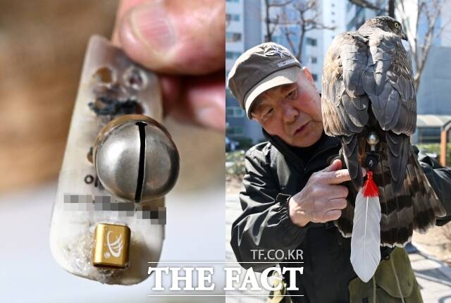 시치미는 매의 꼬리에 다는 작은 표식으로, 12개의 꼬리깃 중간 6,7번에 단다. 요즘은 시치미에 전자 위치추적기를 부착해 매를 추적하는 데 사용한다. 시치미 떼다는 여기서 비롯된 말이다.