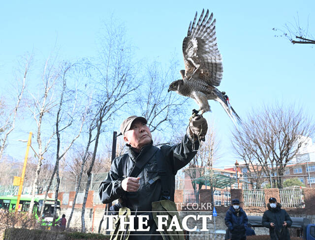 매와 교감의 시간을 보내고, 매가 불행함 없이 있는 모습 그대로 자연으로 돌려보내는 것 역시 매꾼의 자세다.