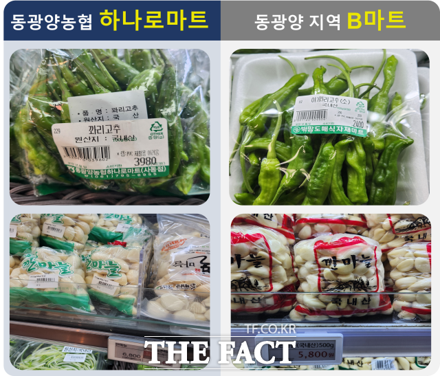 동광양농협 하나로마트가 인근 B마트보다 꽈리고추와 깐마늘 등 채소를 더 비싸게 판매하고 있다. /김동언 기자