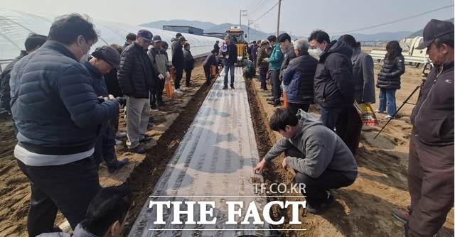 동고령농협 마늘기계화협의체 소속 농민 50여 명이 마늘 파종기 시연을 지켜보고 있다. /고령군