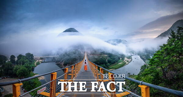 월영산 출렁다리 전경. /금산군