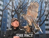 [포토기획] 매와 교감하며 '호연지기'...도심서 전통을 잇다