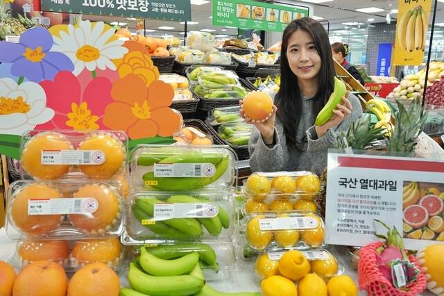 지난 3월 12일 서울 송파구에 위치한 롯데마트 제타플렉스 잠실점 열대과일 코너에서 국산 열대·아열대 과일 신상품을 홍보하는 양혜원 롯데마트·슈퍼 과일팀 MD(상품기획자)의 모습. /롯데마트