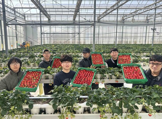 경북 의성의 '진한딸기 공선회' 청년 농부들이 상품과 함께 사진 촬영하고 있다. /쿠팡