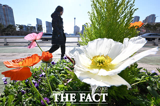 기상청에 따르면 월요일은 16일은 전국이 대체로 맑은 가운데 일교차가 큰 봄날씨가 이어질 전망이다. /김성렬 기자