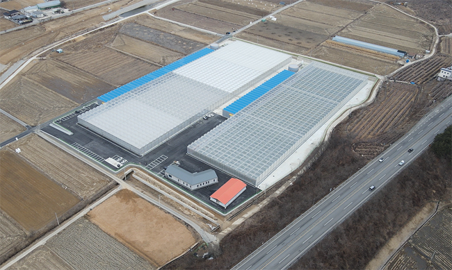 임대형 스마트팜단지 모습. /봉화군