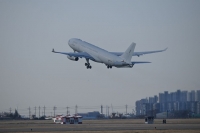  '사막의 빛' 작전…국민 204명, 軍 수송기로 사우디서 귀국