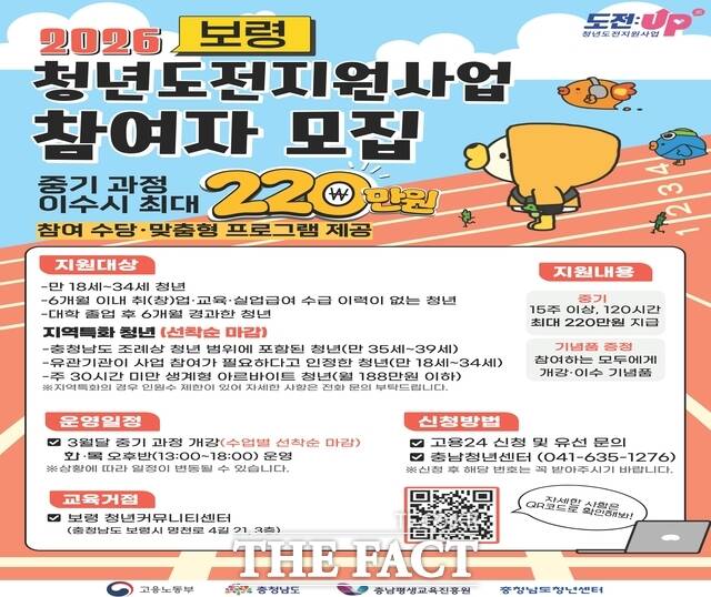 청년도전지원사업 참여자 모집 홍보물. /보령시