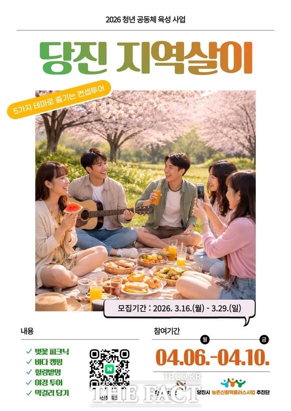 당진 지역살이 프로그램 참가자 모집 포스터. /당진시