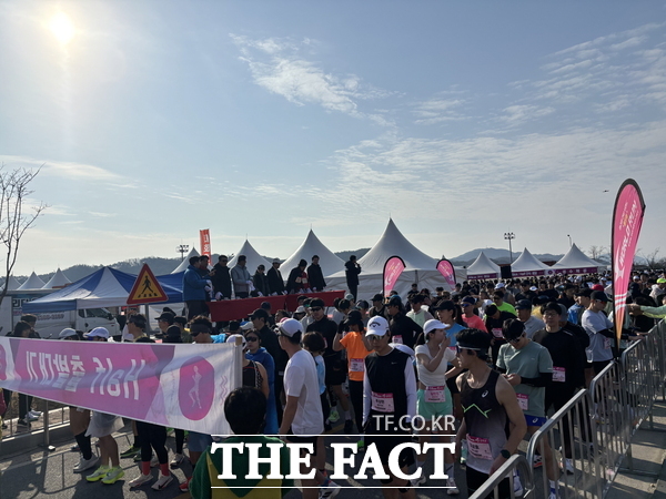 14일 열린 2026 금산 인삼 웰빙 마라톤 대회 현장 모습. /금산군
