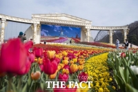  에버랜드, 120만 송이 튤립축제 개막…사파리·불꽃 쇼·서커스까지