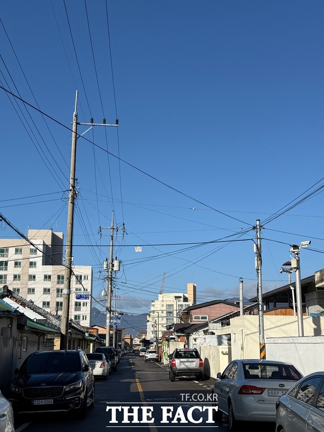 공중케이블 사진. /담양군