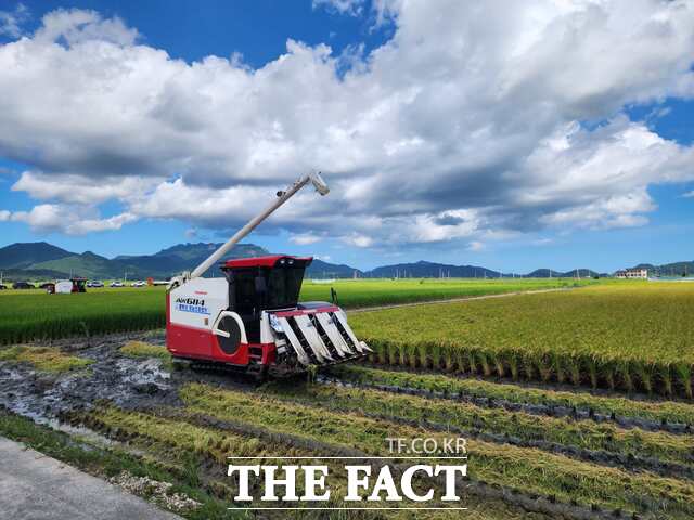 벼 재배농가 모습 /전남도