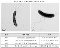  CO2에서 화학 소재 핵심 원료 '아세트산' 세계 최대량 뽑는 기술 개발