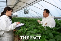  논산시, 딸기축제 앞두고 안전성 강화 점검