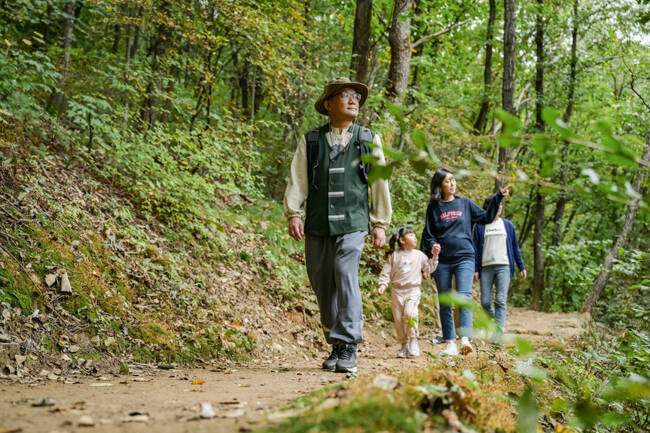 숲 산책 프로그램. /국립산림치유원