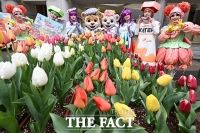  도심 속에서 만나는 '에버랜드 튤립축제' [TF사진관]
