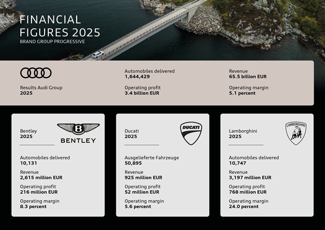 2025년 아우디 그룹 재무 실적 표. /아우디그룹