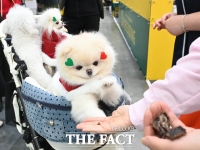  불법 매장되는 사망 반려동물…공설 장묘시설은 1곳뿐