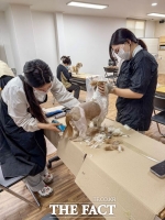  대전시 대덕구, 저소득층 반려동물 미용 지원사업 추진