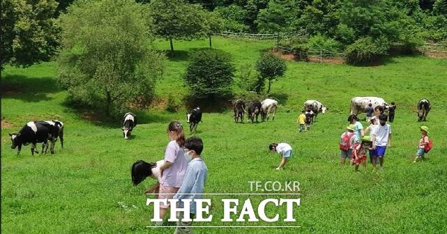 부여군이 추진하고 있는 깨끗한 축산 농장 지정 사업이 성과를 거두고 있다. /부여군