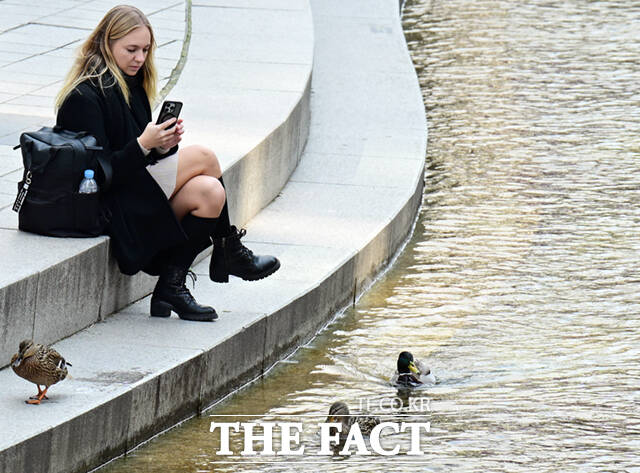 서울 시청광장 일대에서 관계자들이 봄꽃을 식재하고 있다.