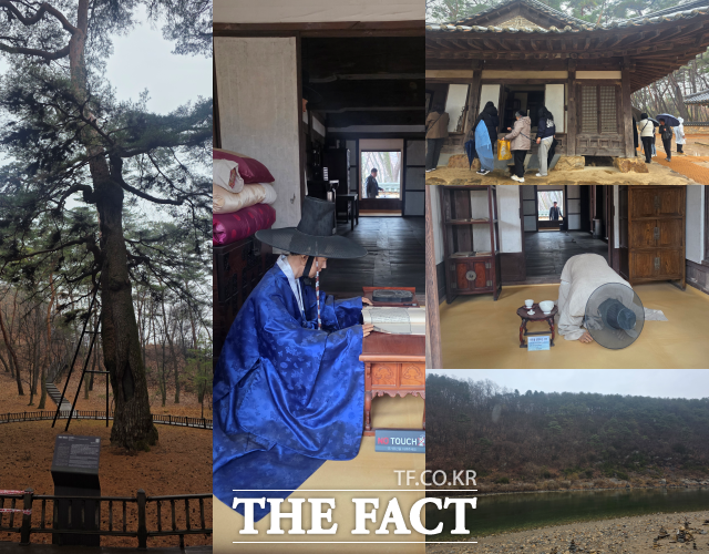 영월 청령포에는 단종어소와 관음송을 비롯해 금표비 망향탑 노산대 등을 볼 수 있다. /박지윤 기자