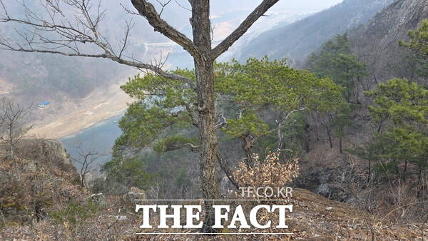 월영산 등산로 풍경 /금산군