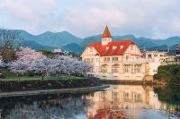  티웨이항공 인천-사가 노선 95% 탑승률…소도시 여행 수요↑