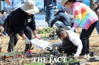  '보타닉가든 화성' 시민의 손길로...동탄여울공원 내 특별정원 17개소 조성