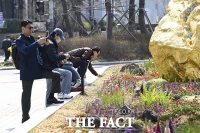  도심에 핀 봄꽃 사진 찍는 시민들 [포토]