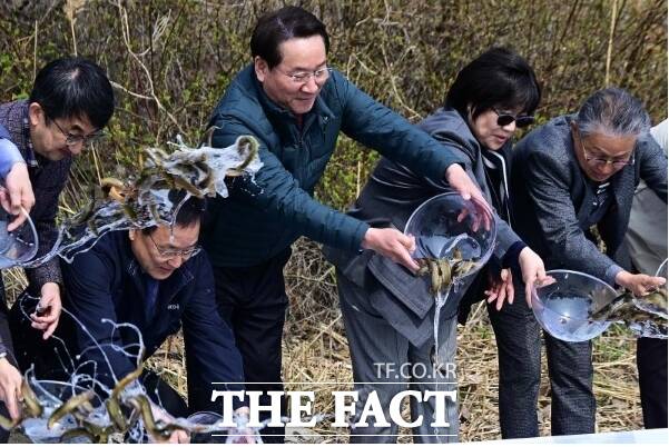 유정복 인천시장이 24일 남동유수지에서 열린 세계 물의 날 기념행사에서 친환경 미꾸라지를 방류하고 있다. /인천시