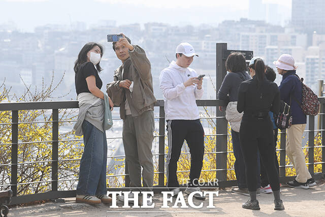 낮 최고기온이 17도까지 오른 24일 오후 서울 성동구 응봉산을 찾은 한 시민이 개나리를 바라보고 있다. /박상민 기자