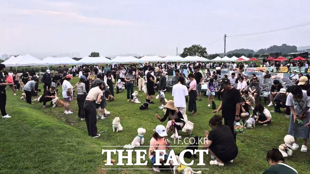 반려동물 운동회 우리동네 개체능 현장. /시흥시