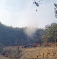  안동 도산면 야산 화재 40여 분 만에 진화
