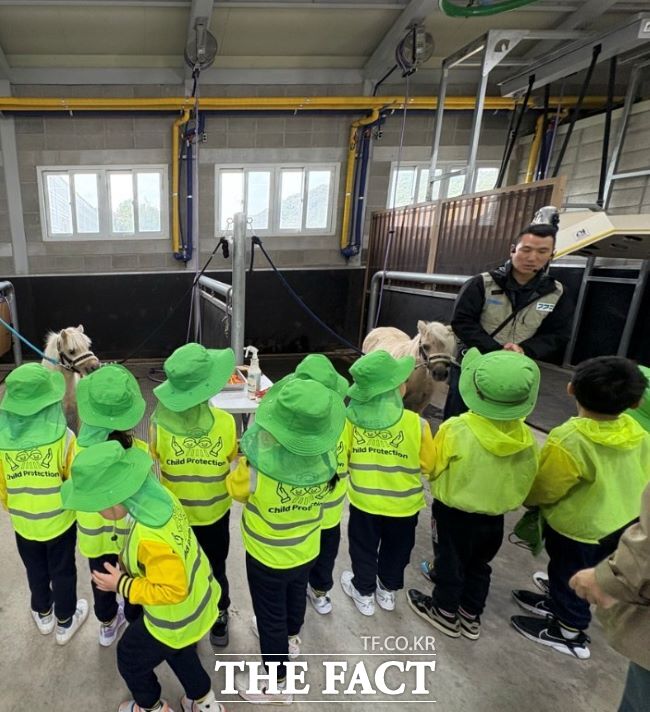 어린이집과 유치원 어린이들이 말 체험 행사에 참가하고 있다. /경기도