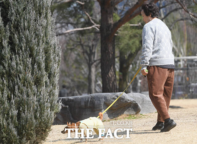지난 12일 오후 서울 영등포구 여의도공원에서 한 시민이 반려견과 산책하고 있다. /박상민 기자
