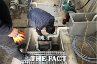  인천시, '아이푸드 파크' 합동 단속…법 위반 5곳 적발