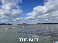  군산시, 물김 위판금액 603억 원…역대 '최대'