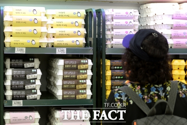 정부가 계란과 돼지고기 시장의 가격 담합과 유통 불투명성을 해소하기 위해 제도 개선과 수급 안정 대책을 추진한다./더팩트DB