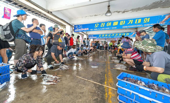 울릉도 오징어축제에서 선보인 오징어 배따기 대회. /김성권 기자