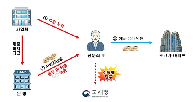 국세청이 사업자 대출을 용도 외 유용해 주택을 취득한 것으로 의심되는 사례에 대한 전수 검증에 나선다고 26일 밝혔다. 사업자 대출과 수입금액 누락한 자금으로 초고가 아파트 취득 사례. /국세청