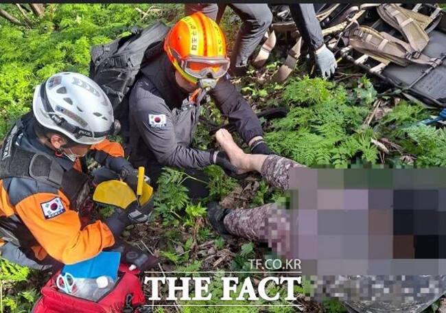울릉군 지역에서는 매년 산나물(명이) 채취 기간 안전사고가 발생해 사전 안전교육이 필수다. /울릉119안전센터