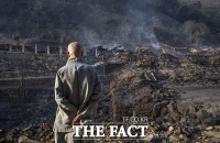  지난해 역대급 폭염·가뭄에…축구장 14만개 규모 산불 피해