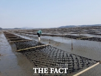 충남도, 양식 김 탄소흡수량 연구 착수