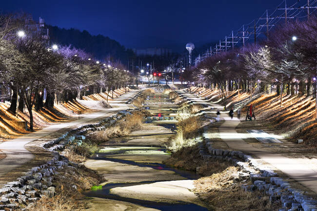 영주 원당천 산책로 야경. /영주시