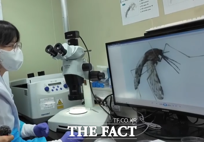 경기도보건환경연구원이 27일 말라리아 감염병 예방을 위한 말라리아 매개모기 감시 사업을 추진한다고 밝혔다. /경기도보건환경연구원