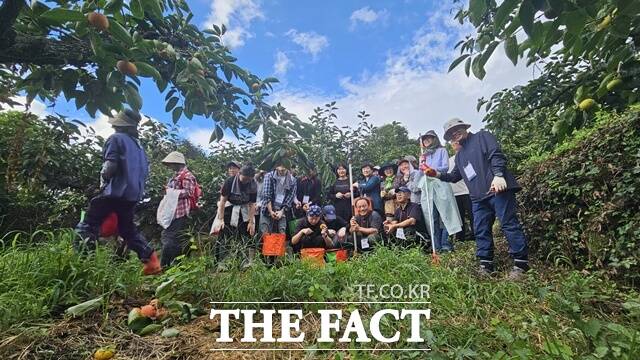 하동군 농촌체험프로그램 모습 /하동군