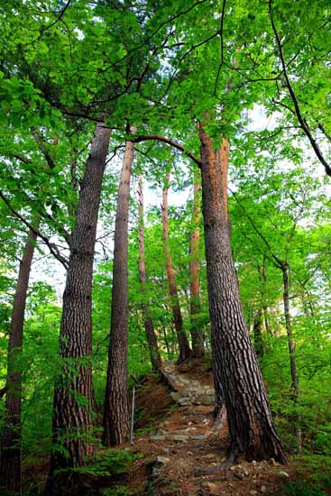 왕피천 생태탐방로 /울진군